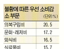 2008년 10가구 중 8개 소비 줄여…옷, 문화·레저부터