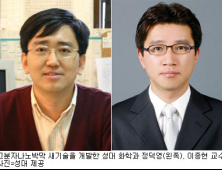 성대연구진,고분자나노박막 새기술 개발