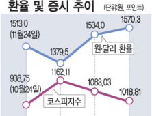 흔들리는 한국 금융,몰아치는 위기 공포