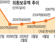 민간연구기관―외환당국,적정한 외환보유액 이견