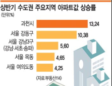 ‘풍선효과 우려’ 제2금융권 주택대출도 규제 강화 검토