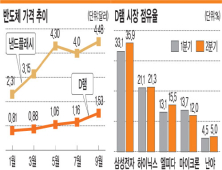 반도체값 고공 행진…‘코리아 독주’ 굳어져