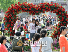 '장미축제' 열리는 용인 에버랜드에 인파만발