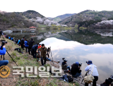 절정의 봄 풍경 담는 사진가들