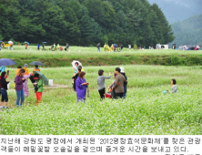 2013 평창효석문화제 내달 6~22일 개최