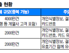 “금전 피해 카드사 전액 보상” 그 말을 믿으라고?… 정보유출 사태 속이 탄다