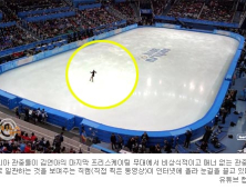 [영상] “못된 러시아 관중들” 김연아 경기 현장 직캠 보니…