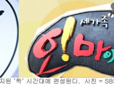 SBS, 폐지된 ‘짝’ 후속으로 ‘오마베’ 편성