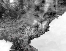 북한 전역 35곳에서 동시다발 산불 발생 주장