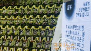 [세월호 침몰 참사] “분위기 안 맞아” 애도 문자 ‘철거’… 현장 장례지원단 “몰랐다”