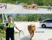 [댓글 명언] 소생크탈출 자랑한 경찰청…“월급값 했네”