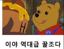 “꿀조라더니… 우리가 꿀이었네” 푸에 빗댄 한국 월드컵 요약 눈길