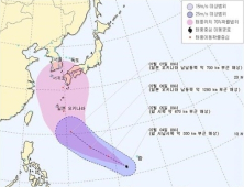 한국이 이름 제출한 8호 태풍 ‘너구리’ 괌 해상서 발생… 국내 영향 주나