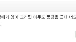“수니가, 유병언 옆에 가 있어. 그럼 못찾음” 오늘 따봉 댓글