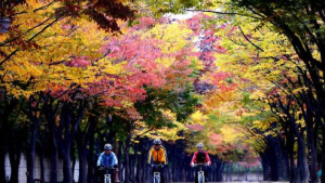 인천대공원 초등 저학년 대상 매미학교 운영