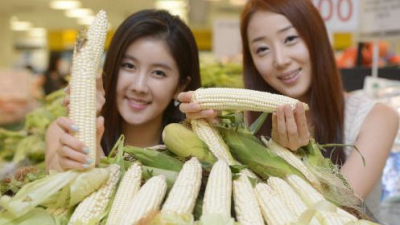 강원소방본부 헬기 사고 수습 감사, 광주시에 옥수수 전달