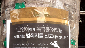 “길냥이에게 쥐약, 그 사람은 범죄자” 전봇대 전단지
