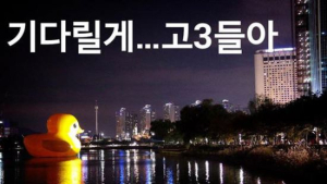 러버덕 “오늘이 마지막 기다릴게”… 창고 거쳐 산업폐기물 처리될 수도