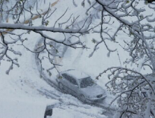 제주도 산간에 대설주의보… “3·1절 오전까지 눈 2∼7㎝ 더”