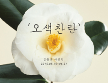 캐논, 김용훈 작가의 ‘오색찬란’ 사진전 개최