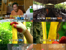 편도가 자주 붓는다면? ‘황백나무 발효액’에 주목... 28일 ‘천기누설’ 소개!