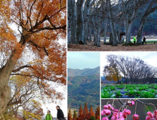 [임항 논설위원의 ‘그 숲길 가보니’] 지리산, 인걸과 절개를 품어 온 큰 산