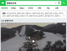 “용평리조트가 한 눈에…” 네이버 ‘라이브-웹캠’ 검색 제공