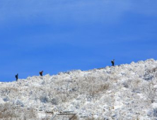 안전한 겨울산행 챙겨야 할 것 많다… 필수품 여벌의 양말-핫팩