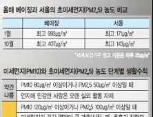 [어떻게 생각하세요] 새해 ‘먼지’ 많이 받으세요?… 대책 없이 마스크만 쓰라고?