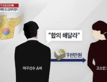 “프로야구 주전 A씨, 성폭행 합의금 9000만원 건네”