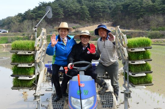 "20일 영주시 안정면 오계리에서 김진석 씨가 풍년을 기원하며 올해 첫 모내기를 하고 있다. <사진=영주시>"