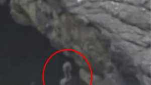 [쿠키영상] '신비의 도시' 마추픽추 바위 뒤에서 포착된 회색의 외계인?