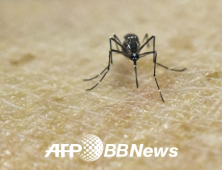 국내 네번째 지카바이러스 감염자 발생…환자는 베트남 근무한 20대 여성