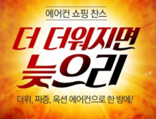 무더위 타고 에어컨 씽씽...옥션, 다기능 에어컨 60% 신장