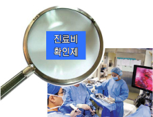 진료비 확인제, 보험사 남발 심각…보험사 이익에 건보재정은 부담