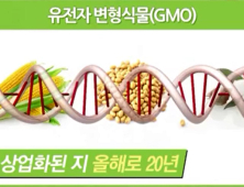 “수십 년 먹었으니 안전?” GMO 수입 1위 한국, 식탁 위 안전성 논란 ‘팽팽’