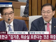 [4차 청문회] 조한규 “박근혜 대통령이 최순실-정윤회 이혼시켜”