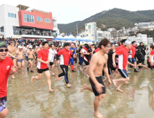 거제도국제펭귄수영축제 개최 취소…고병원성 AI 여파