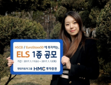 HMC투자증권, 연 5%대 ELS 1종 공모