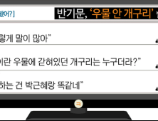 [이댓글봤어?] 반기문 “우물 안 개구리” 발언에 뿔난 네티즌 “말이 많네”