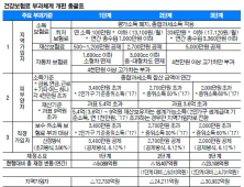 “건보료 부과체계 개편안 3월 처리해야”, 새누리 개편안 조기 시행 논의