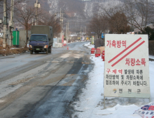 '구제역 양성' 연천군, 긴급방역에 총력 대응