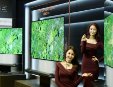 ‘그림처럼 벽에 걸린 TV’ 다음은?…LG·삼성의 ‘창과 방패’