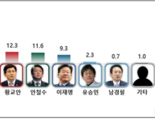 차기 대통령 가능성 문재인 후보 61%, 안희정·황교안 하락-안철수 상승