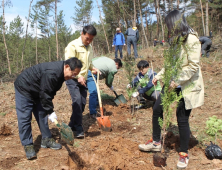 함안군, 미래 50년 명품숲 조성…올해 9만6000본 식재