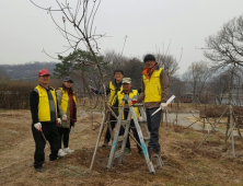 영주시 서울지역 영주사과나무 정지․전정 실시