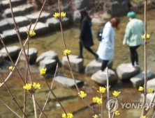 [오늘날씨] 봄기운 완연 대체로 맑고 따뜻…서울 최고 19도·대구 21도