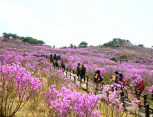 “봄 축제로 풍성한 대구로 놀러오이소”