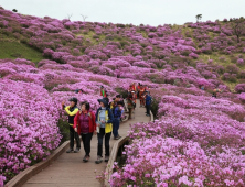 ‘철쭉의 유혹 속으로’…산청·합천 황매산 철쭉제 개막