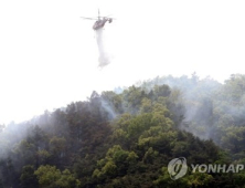 청주 우암산서 산불 발생…2시간여 진화 작업